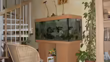 Aquarium Becken 5110