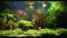 Aquarium Becken 5154