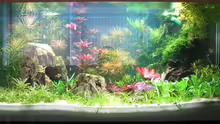 Aquarium Becken 5154