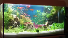 Aquarium Becken 5154