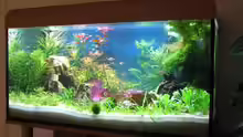 Aquarium Becken 5154