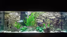 Aquarium Becken 5280