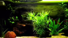 Aquarium Becken 5627