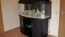 Aquarium Becken 5821