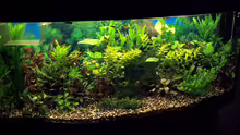 Aquarium Becken 5908