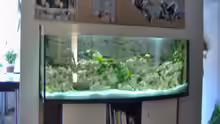 Aquarium Becken 5959