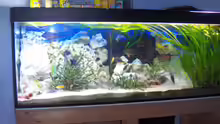Aquarium Becken 6000