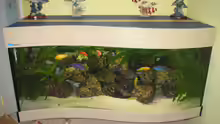 Aquarium Becken 607
