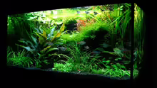 Aquarium Becken 6328