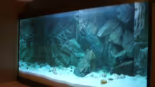 Aquarium Becken 6354