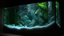 Aquarium Becken 6354