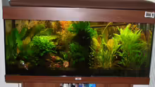 Aquarium Becken 6460