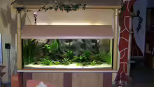 Aquarium Becken 650
