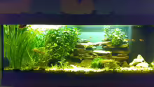 Aquarium Becken 6505
