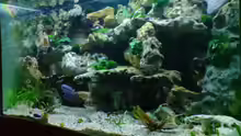 Aquarium Becken 6558