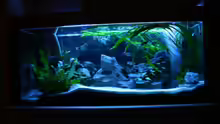 Aquarium Becken 664