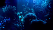 Aquarium Becken 6659