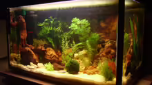 Aquarium Becken 6766
