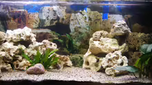 Aquarium Becken 6797