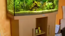 Aquarium Becken 6880