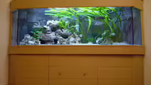 Aquarium Becken 692