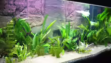 Aquarium Becken 6988