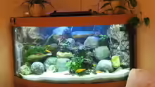 Aquarium Becken 7200
