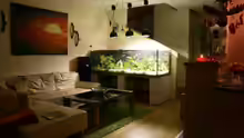Aquarium Becken 7342
