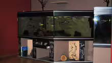 Aquarium Becken 7395