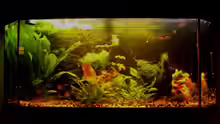 Aquarium Becken 7435