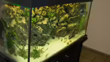 Aquarium Becken 755