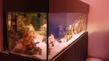 Aquarium Becken 7944
