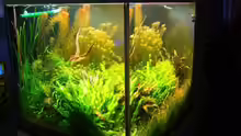 Aquarium Becken 7947