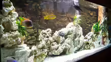 Aquarium Becken 8076