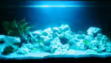 Aquarium Becken 8105