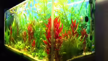 Aquarium Becken 8311