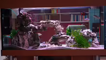Aquarium Becken 885