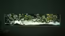 Aquarium Becken 89