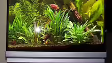 Aquarium Becken 906