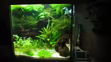Aquarium Becken 9065