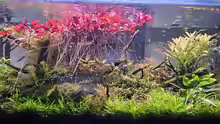 Aquarium Becken 9103