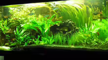 Aquarium Becken 9179