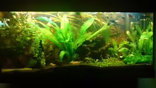 Aquarium Becken 9179
