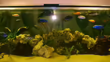 Aquarium Becken 9296