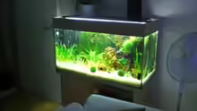 Aquarium Becken 9394
