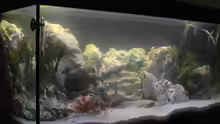 Aquarium Becken 940