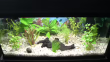 Aquarium Becken 9479