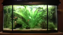 Aquarium Becken 9762