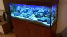 Aquarium Becken 9840