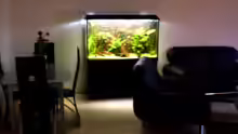 Aquarium Becken 9926
